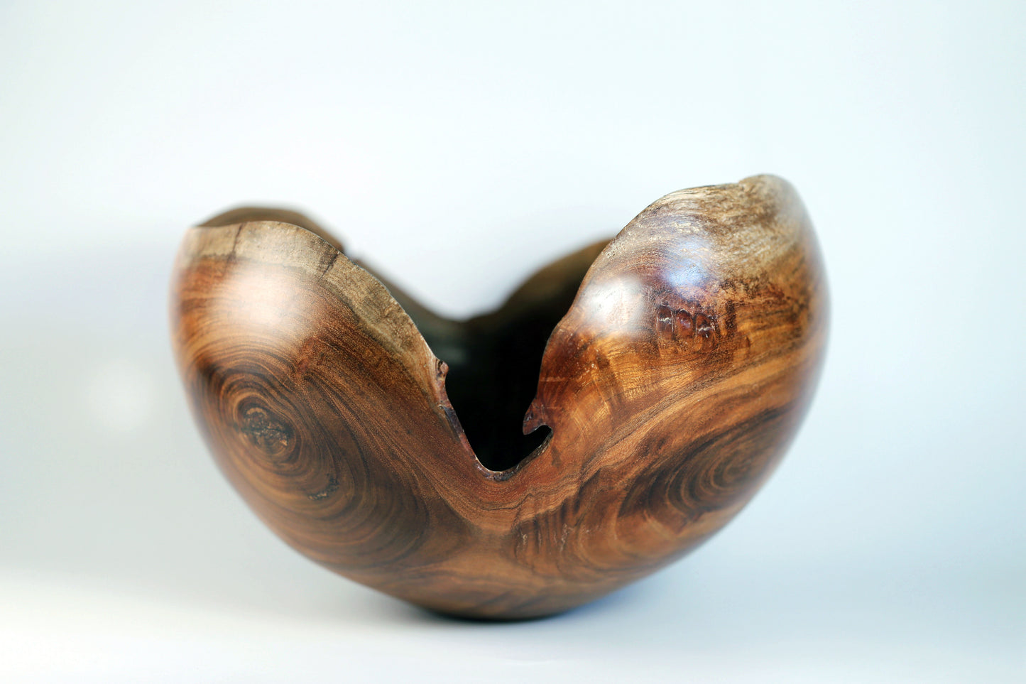 Heart-Open Thin-Walled Black Acacia Vessel