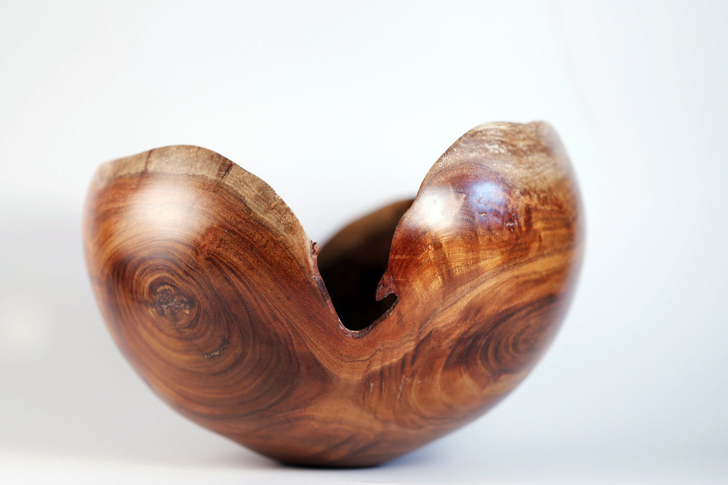 Heart-Open Thin-Walled Black Acacia Vessel