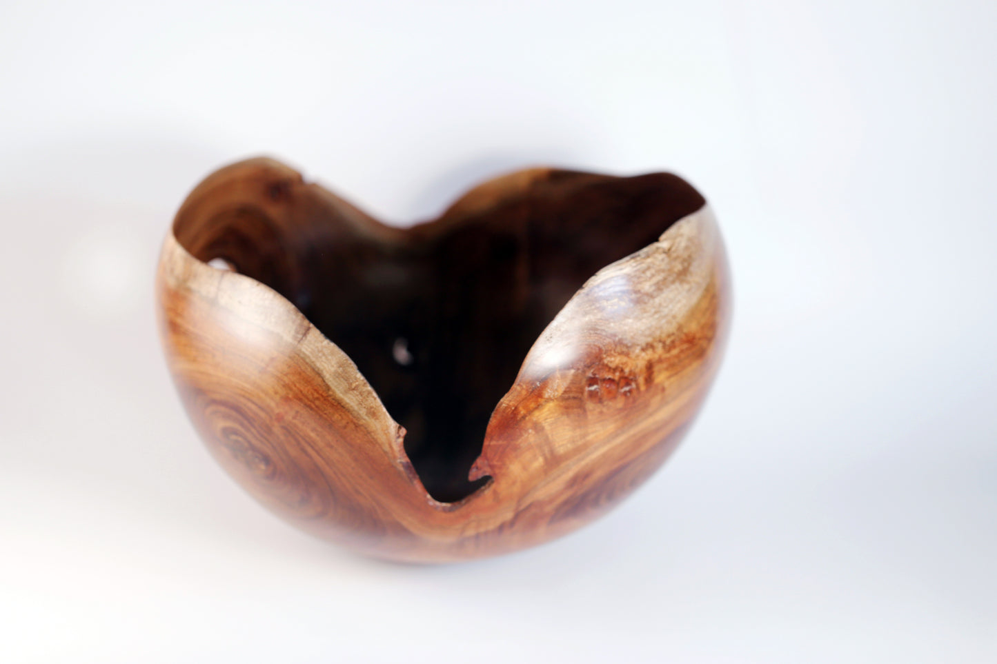 Heart-Open Thin-Walled Black Acacia Vessel