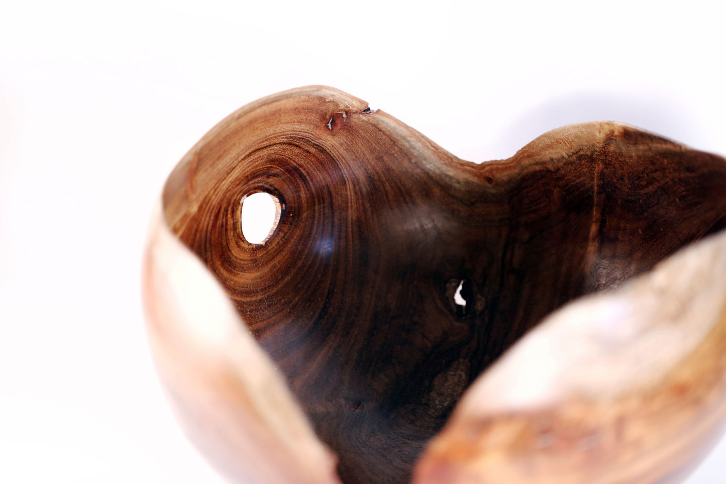 Heart-Open Thin-Walled Black Acacia Vessel