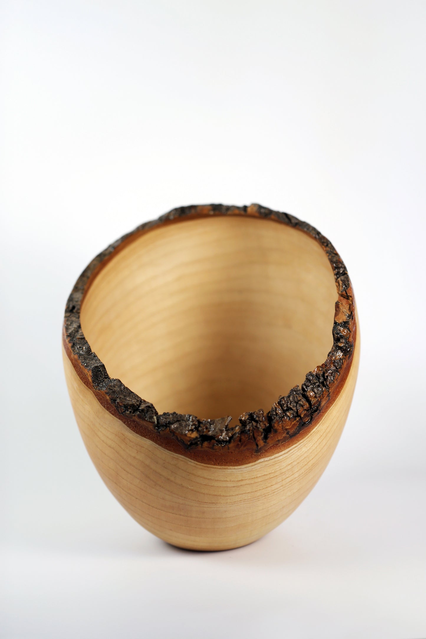 Live Edge Ash Vessel