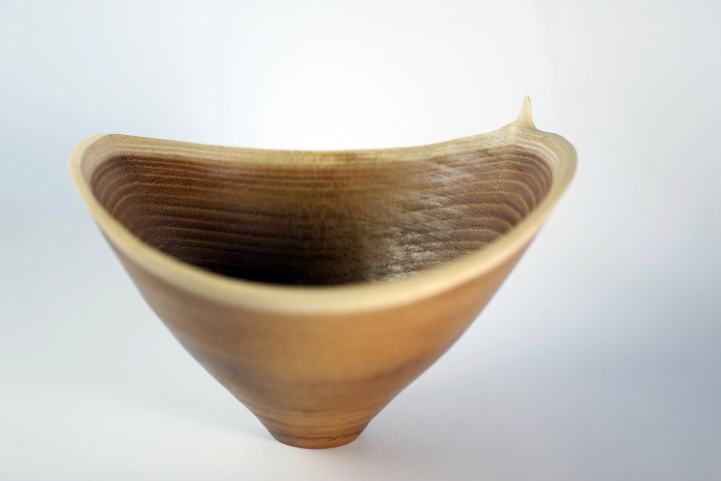 Live Edge Locust Vessel