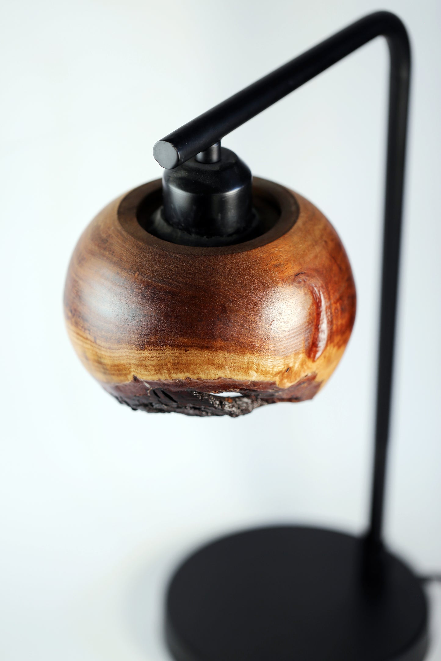 Black Acacia Live Edge Lamp