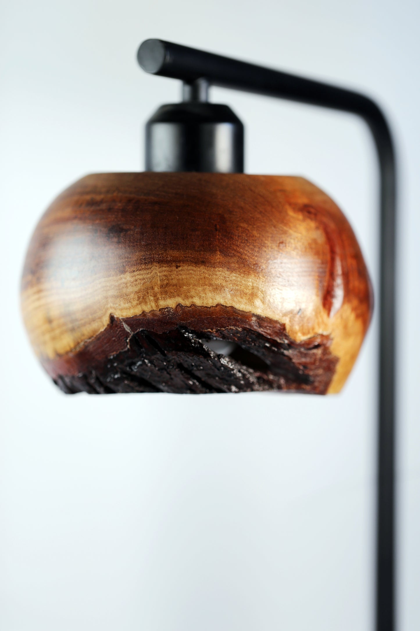 Black Acacia Live Edge Lamp
