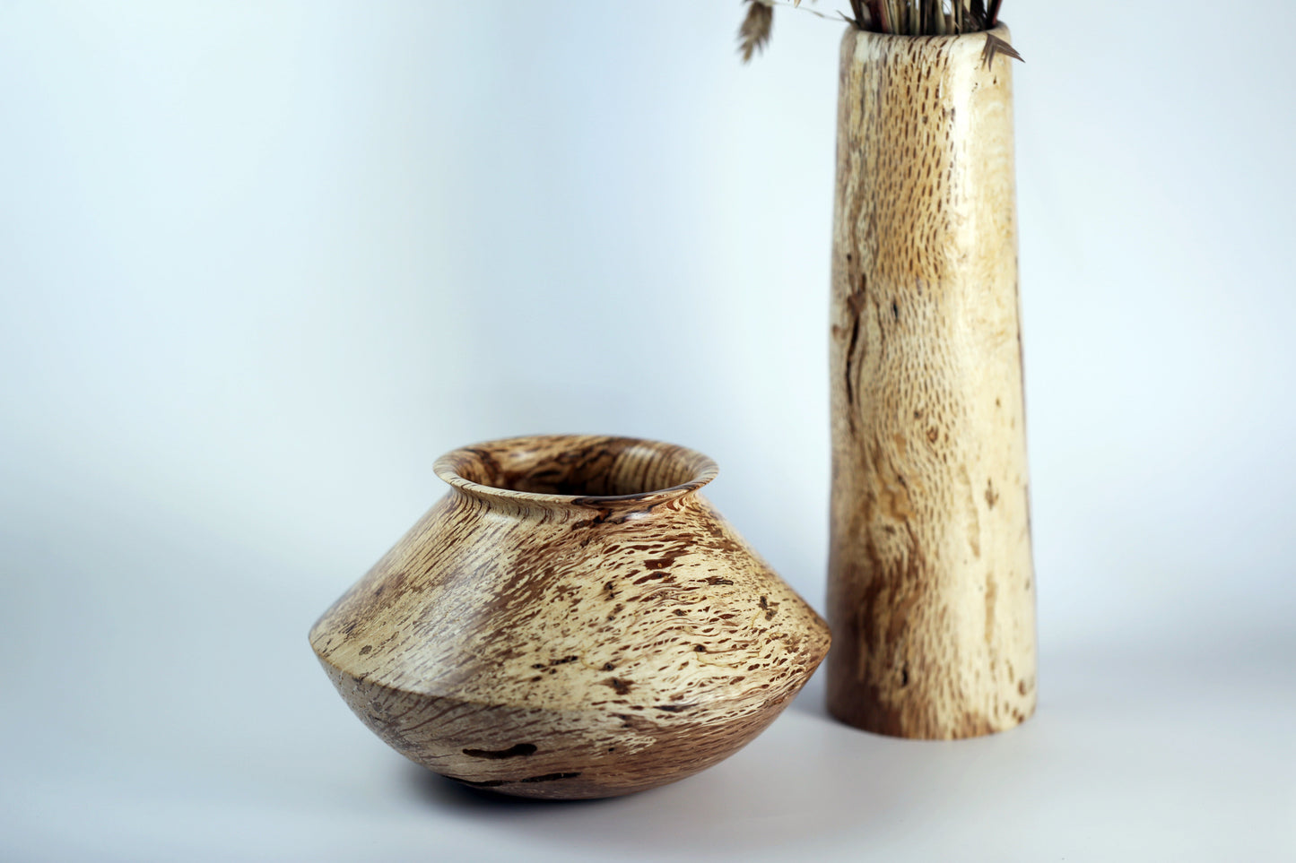Black Walnut Sapwood Companion Vessels