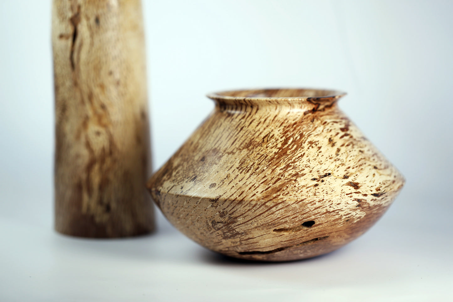 Black Walnut Sapwood Companion Vessels