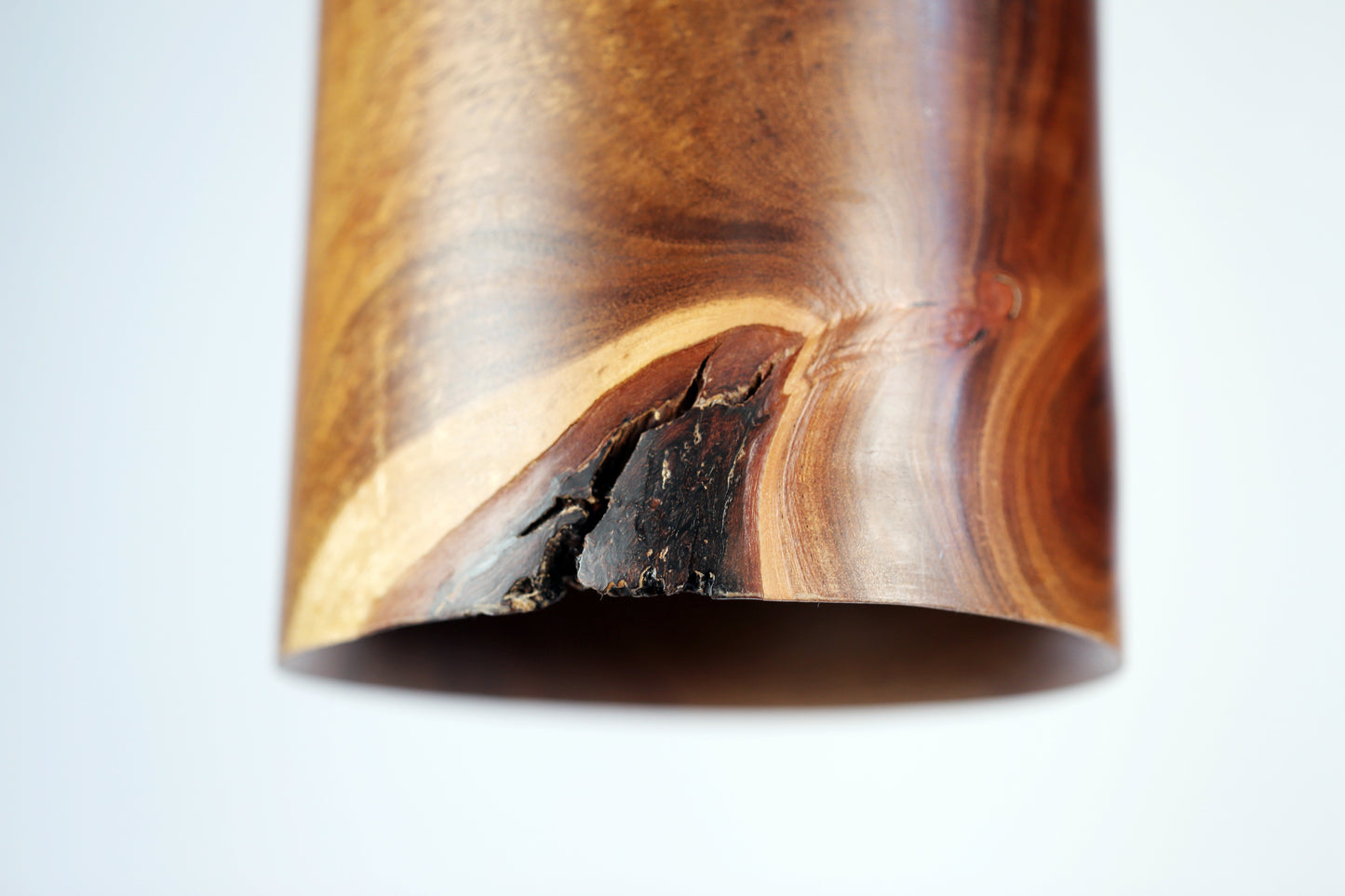 Live Edge Black Acacia Pendant Light