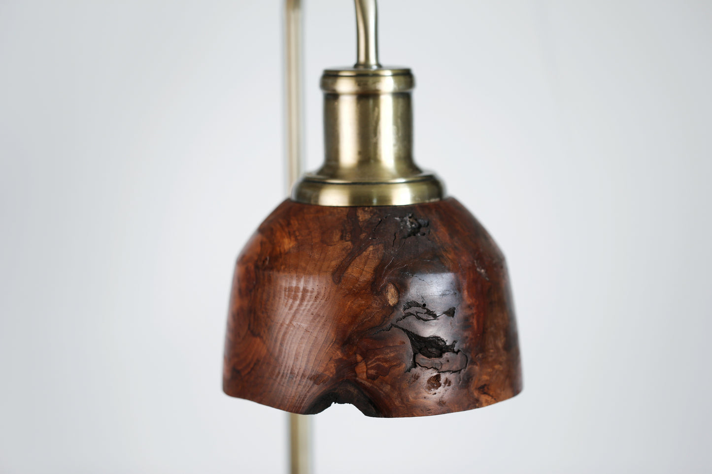 Redwood Burl Lamp